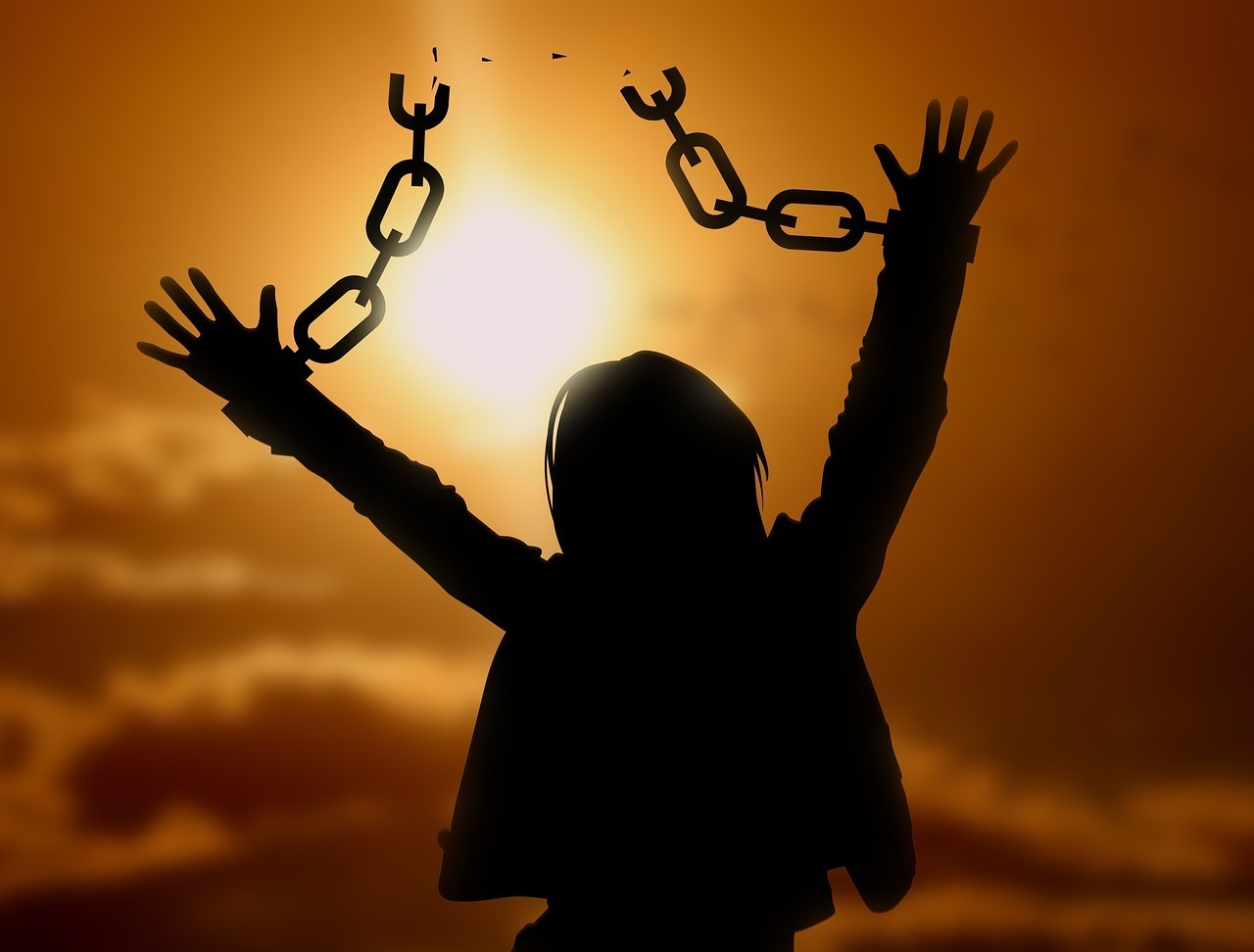 freedom freedom