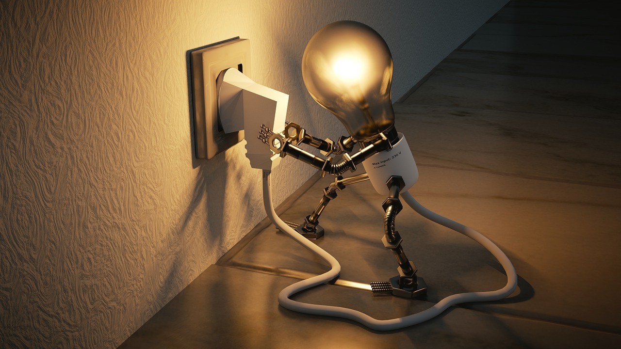 bulb bulb
