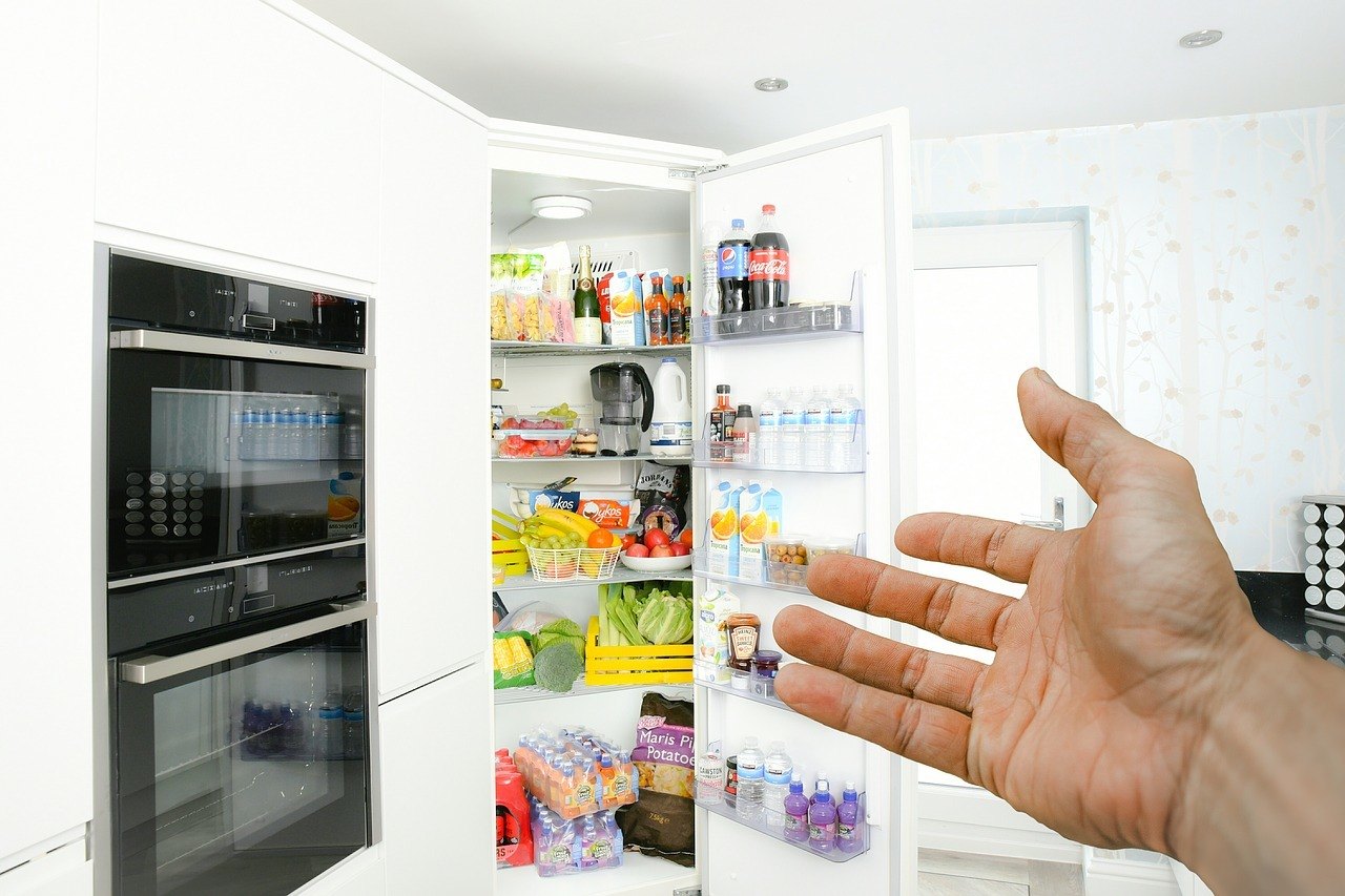 fridge fridge