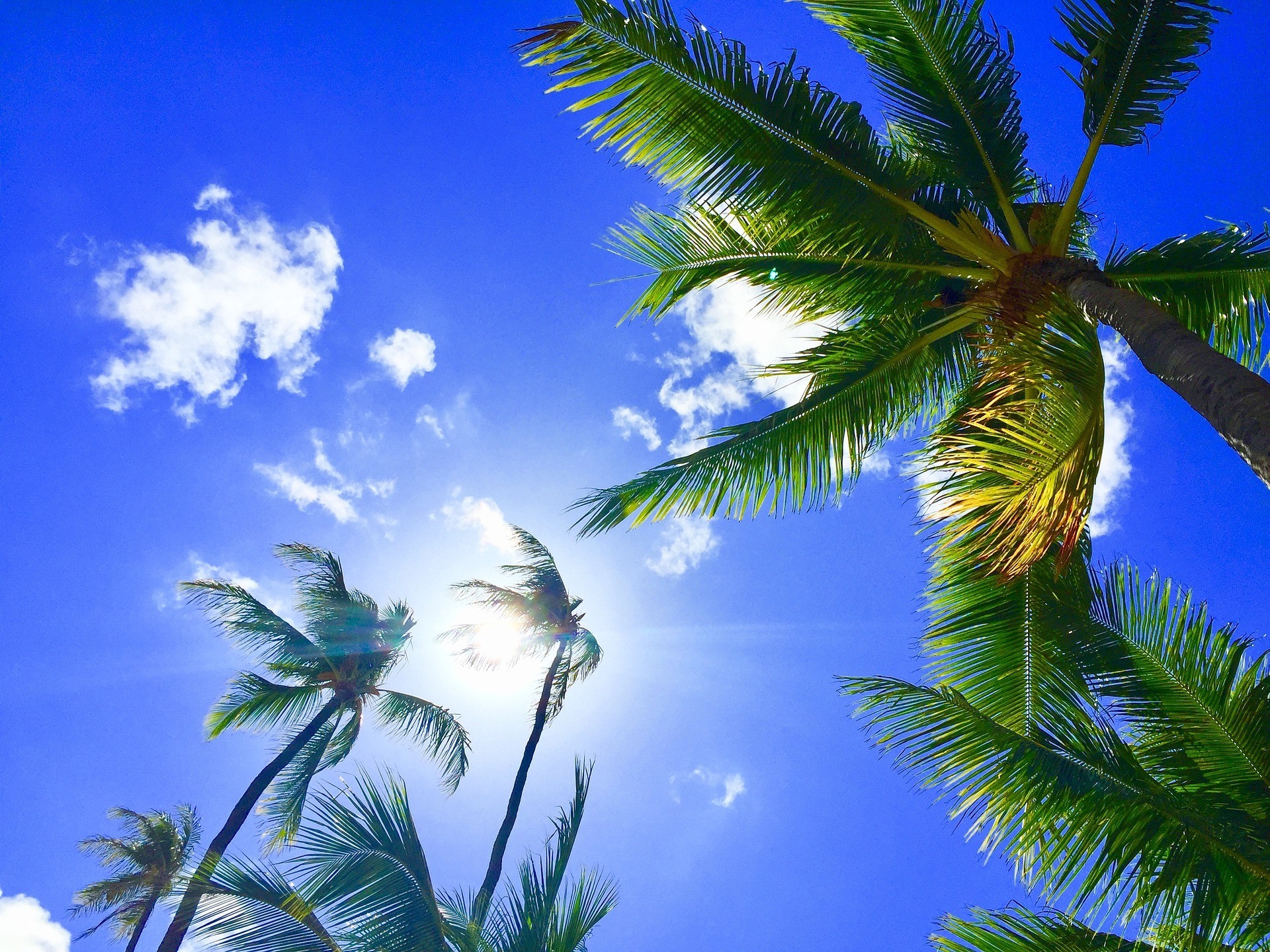 hawaii hawaii